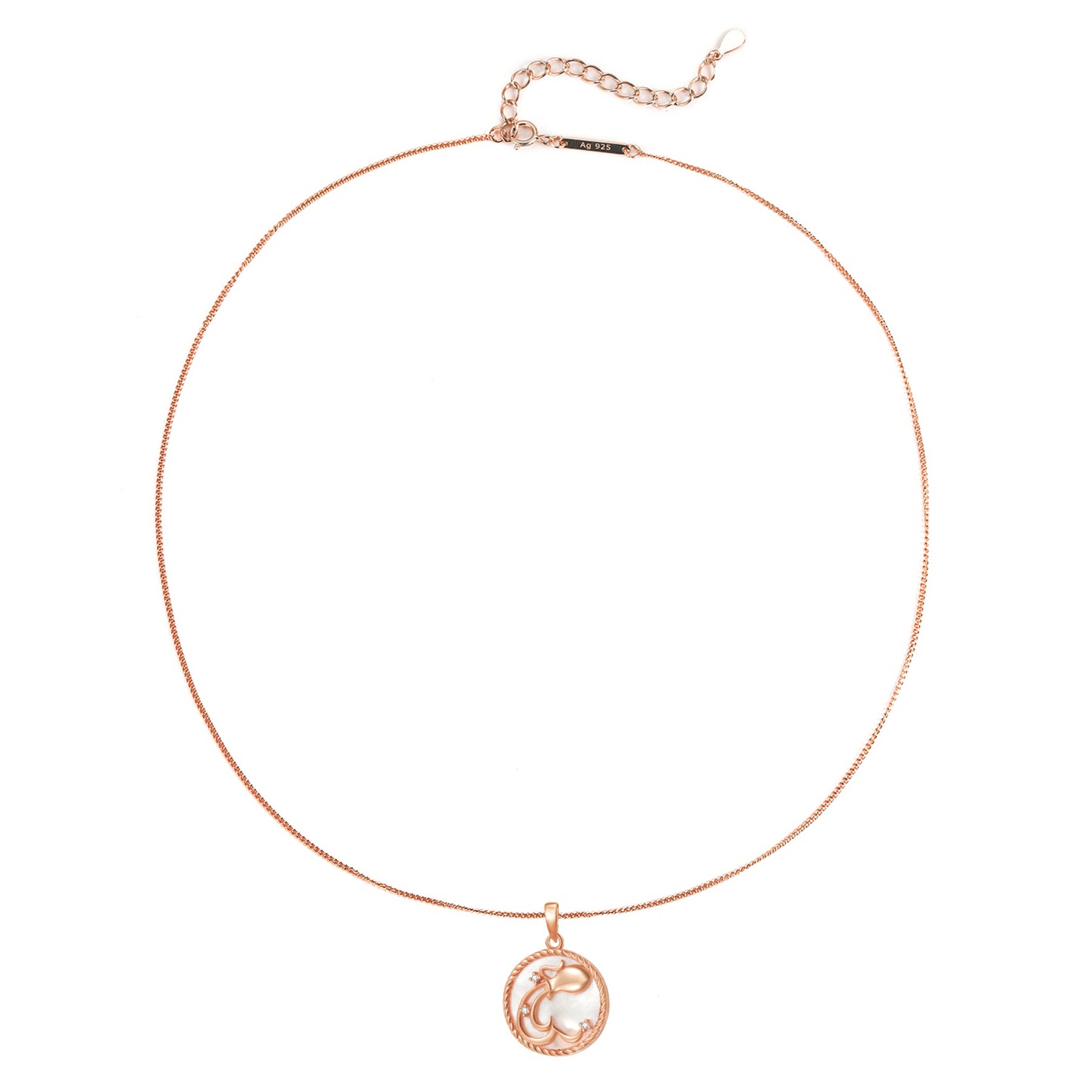 Collier pendentif zodiaque Verseau